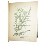 Flora von Deutschland 1887r. SCHLECHTENDAL, LANGETHAL, SCHENK, 171 kolorowych tablic