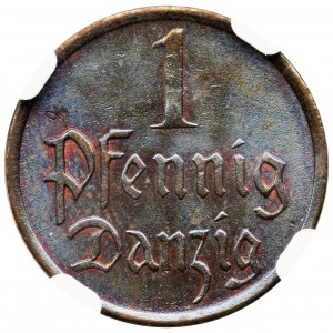 Free City of Danzig, 1 pfennig 1937 - NGC MS64 BN