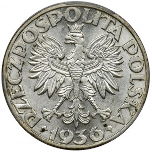 Żaglowiec, 5 złotych 1936 - PCGS MS61