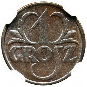 1 grosz 1931 - NGC MS66 BN