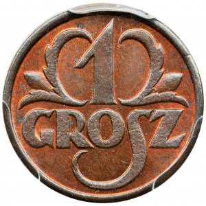 1 grosz 1931 - PCGS MS65 RB