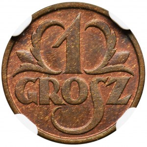 1 grosz 1928 - NGC MS64 BN
