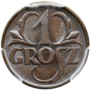 1 grosz 1925 - PCGS MS65 BN