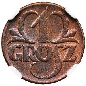 1 grosz 1923 - NGC MS65 RB