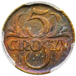 5 groszy 1923 - PCGS MS64