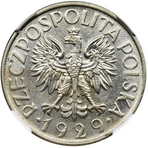 1 złoty 1929 - NGC MS61 - bardzo ładna