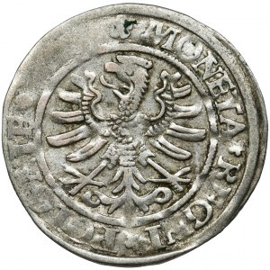 Sigismund I the Old, Groschen Krakau 152?