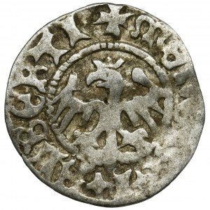 John I Albert, Half Groat Krakau no date