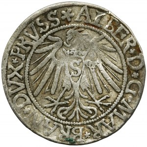 Prusy Książęce, Albrecht Hohenzollern, Grosz Królewiec 1539
