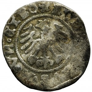 Silesia, Schweidnitz, Louis II of Hungary, Half Groat 1520