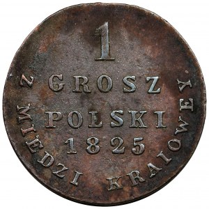 Królestwo Polskie, 1 grosz polski z MIEDZI KRAIOWEY Warszawa 1825 IB