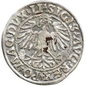 Sigismund II August, Halfgroat Vilnius 1548 - LI/LITVA