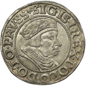 Sigismund I the Old, Groschen Danzig 1538 - PRVSS