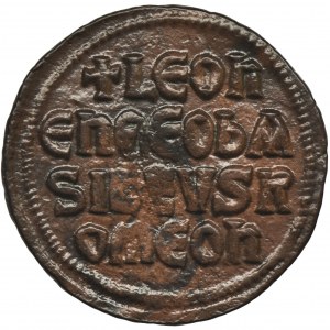 Cesarstwo Bizantyjskie, Leon VI, Follis