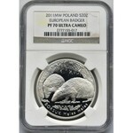 20 złotych 2011 Borsuk - NGC PF70 ULTRA CAMEO