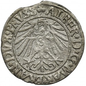 Prusy Książęce, Albrecht Hohenzollern, Grosz Królewiec 1542