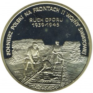 200.000 złotych 1993, Żołnierz polski na frontach II Wojny Światowej