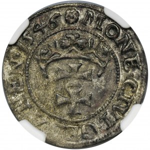 Sigismund I the Old, Shilling 1546 Danzig - NGC XF45