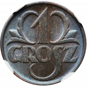 1 grosz 1937 - NGC MS66 BN