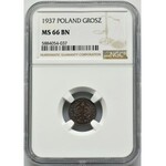 1 grosz 1937 - NGC MS66 BN