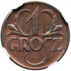 1 grosz 1927 - NGC MS64 RB