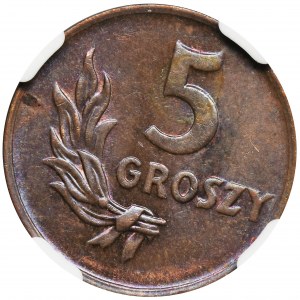 5 groszy 1949 Brąz - NGC MS64 BN - SKRĘTKA