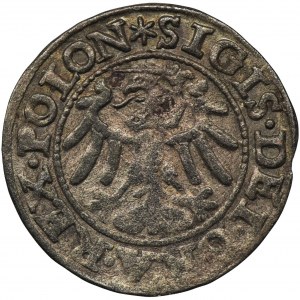 Sigismund I the Old, Shilling Danzig 1546