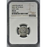 Sigismund III Vasa, 3 Polker Riga 1620 - NGC MS63