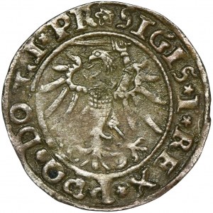 Sigismund I the Old, Groschen Elbing 1535 - PR