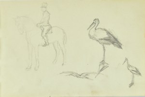 Józef Pieniążek (1888-1953), Luźne szkice: jeździec na koniu, szkice bociana