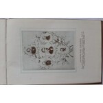 Album Powstania Styczniowego : 1863-1913