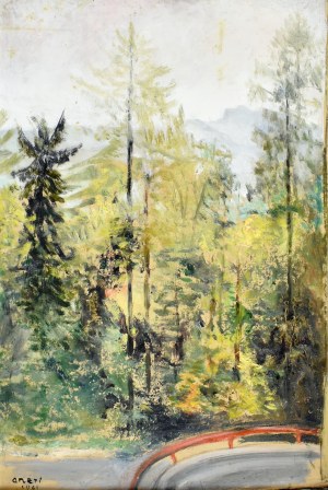 Aneri Irena Weissowa (1888-1981), Drzewa - widok serpentyn drogi do Szczawnicy, 1961