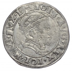 Zygmunt II August, 1546, Wilno, L/LITVA