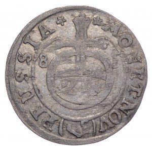 Prusy Książęce, Fryderyk Wilhelm, półtrorak 1685, Berlin