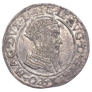 Zygmunt II August, czworak 1568, Wilno, L/LITV