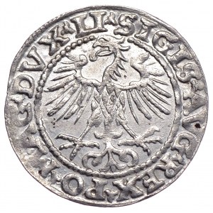 Zygmunt II August, półgrosz 1552, Wilno, LI/LITVA