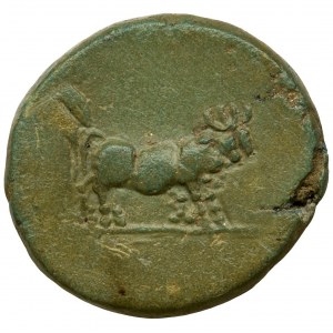 Provinz Rom, Makedonien, Philippi, Tiberius, Bronze AE19 - SEHR RAR