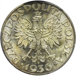 Żaglowiec, 2 złote 1936 - NGC MS64 - PIĘKNA