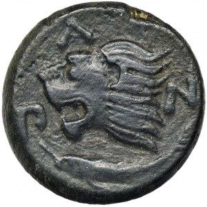 Greece, Cimmerian Bosporos, Pantikapaion, AE20