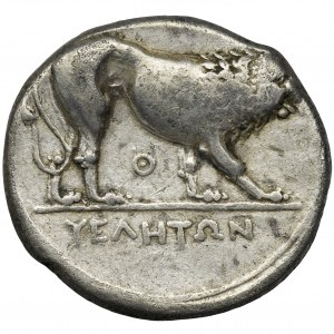 Greece, Lucania, Velia, Didrachm