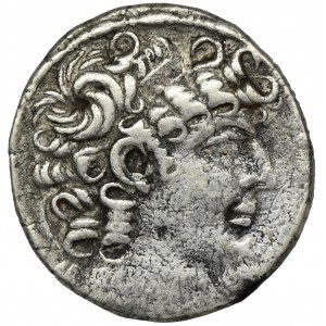 Roman Provincial, Syria, Antioch, Octavian Augustus, Tetradrachm - RARE