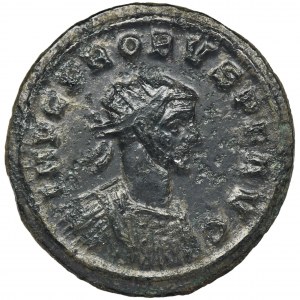 Roman Imperial, Probus, Antoninianus - RARE