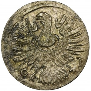 Śląsk, Księstwo Legnicko-Brzesko-Wołowskie, Luiza z Anhaltu, Greszel Brzeg 1670