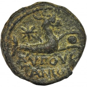 Roman Provincial, Cilicia, Livia Augusta, AE13