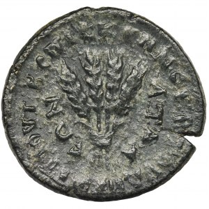 Roman Provincial, Phrygia, Apameia, Antoninus Pius, AE24