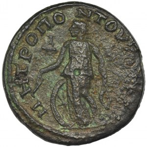 Roman Provincial, Moesia Inferior, Tomis, Gordian III i Tranquillina, Tetrassarion