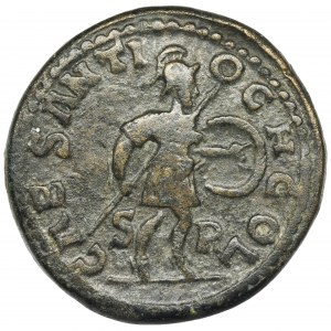 Roman Provincial, Pisidia, Antioch, Gordian III, AE