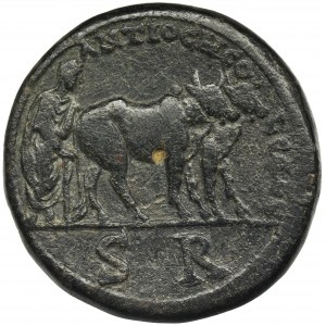 Roman Provincial, Pisidia, Antioch, Caracalla, AE