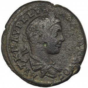 Roman Provincial, Moesia Inferior, Tomis, Severus Alexander, Tetrassarion