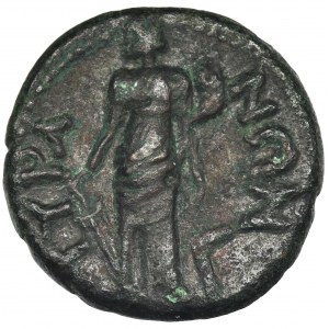 Roman Provincial, Scythia, Tyre, Commodus, AE - RARE